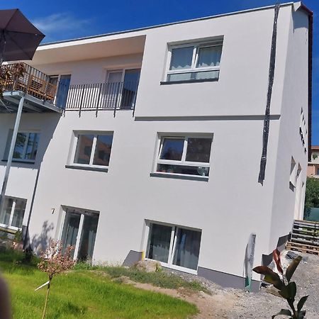 Peaceful Holiday Morningstar Apartment Wurzburg Bagian luar foto